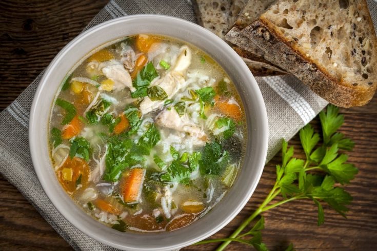 chicken vegetable soup