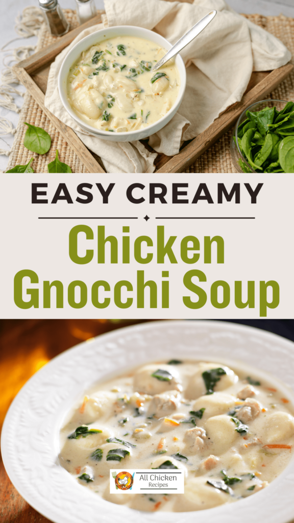 Creamy Chicken Gnocchi Soup