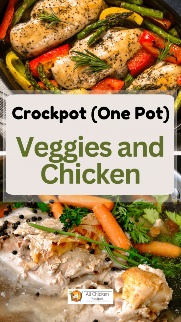 Slow Cooker Veggies and Chicken