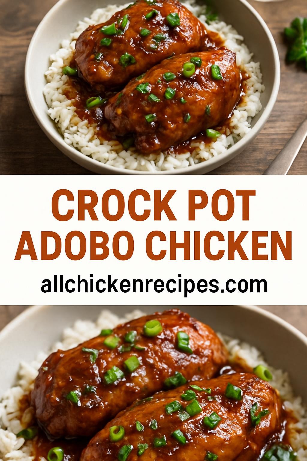 Crock Pot Adobo Chicken