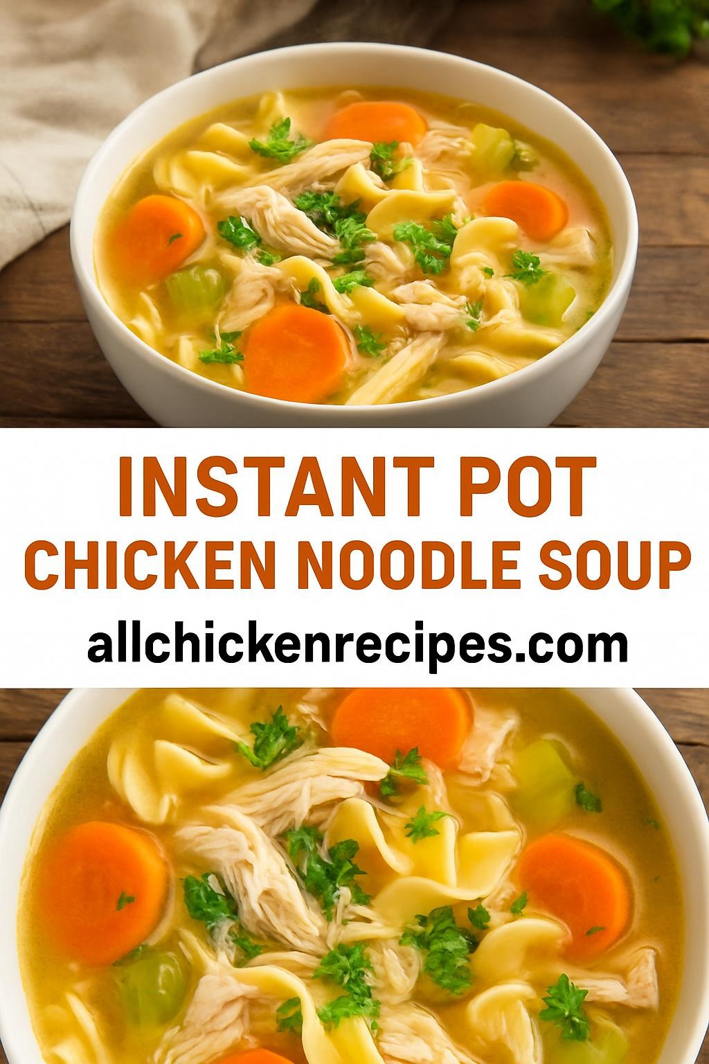 Instant Pot Chicken Noodle Soup