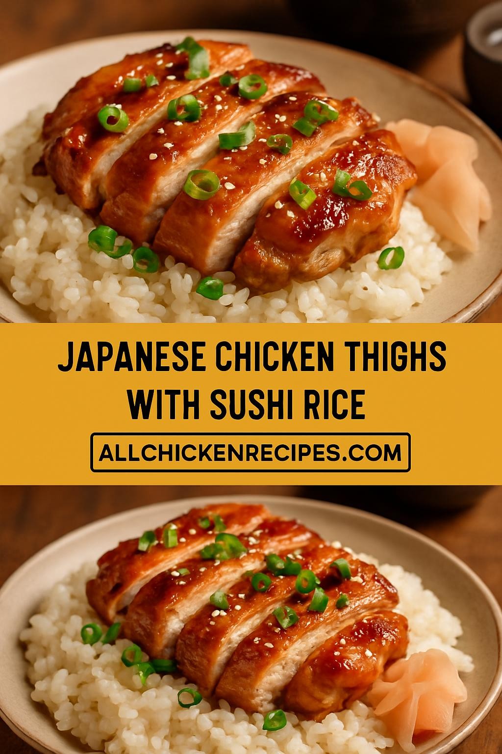 Japanese Chicken Thighs with Sushi Rice